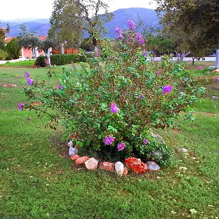 Aelia - A Peaceful And Private Place Daire *