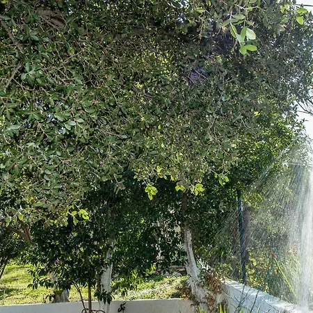 Daire Aelia - A Peaceful And Private Place