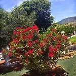 Aelia - A Peaceful And Private Place
