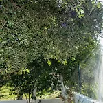 Apartment Aelia - A Peaceful And Private Place