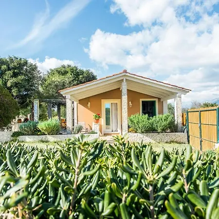 Lägenhet Aelia - A Peaceful And Private Place *